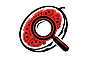 星空娱乐 - 吃瓜社Logo